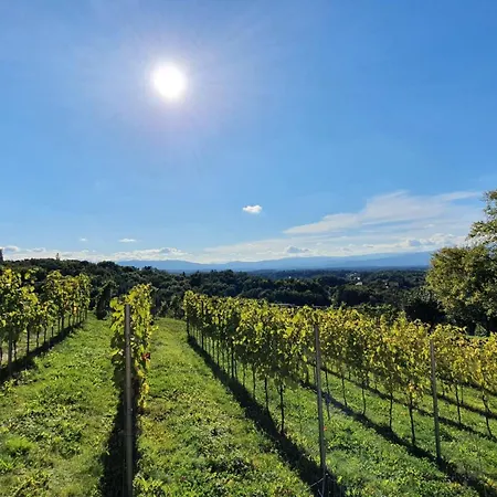 Living & Relax Sausal