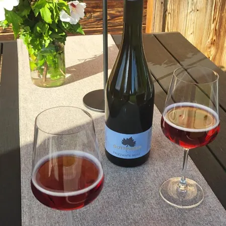 Chalet Living & Relax Sausal