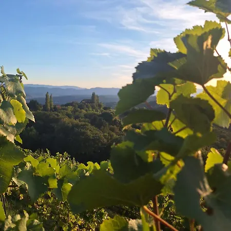 Living & Relax Sausal