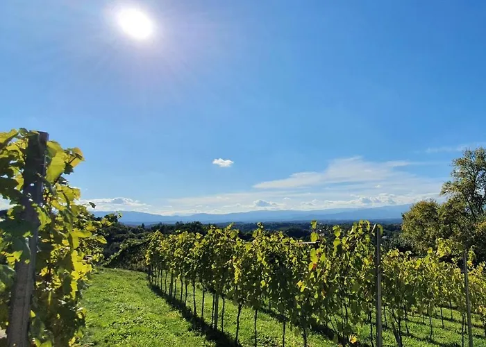 Living & Relax Chalet *