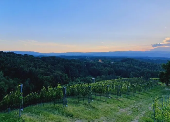 シャレー Living & Relax *