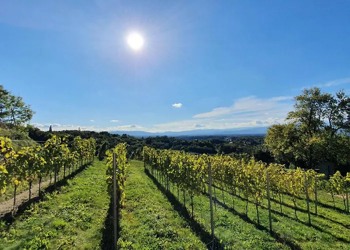 Living & Relax Sausal