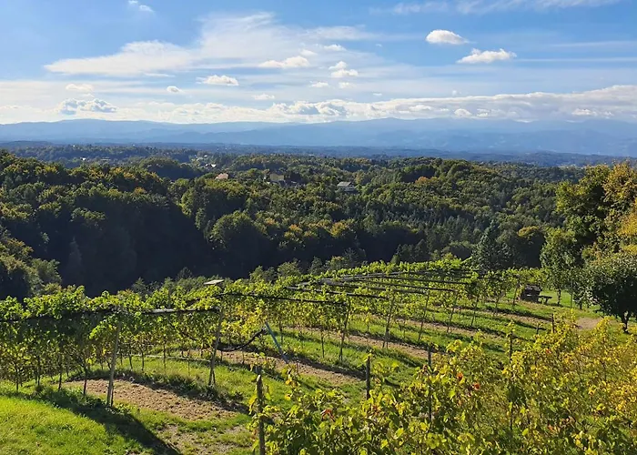 シャレー Living & Relax